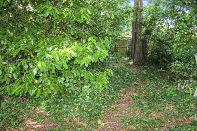 Woodland Area