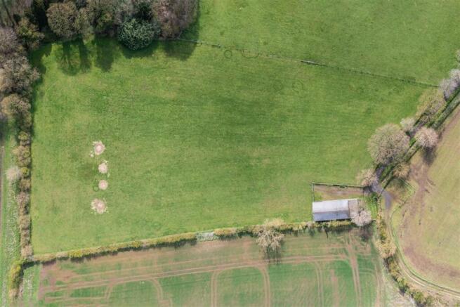 Birds Eye View