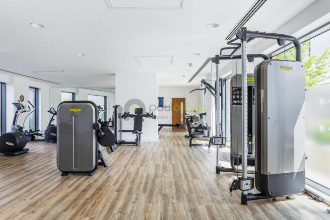 gym