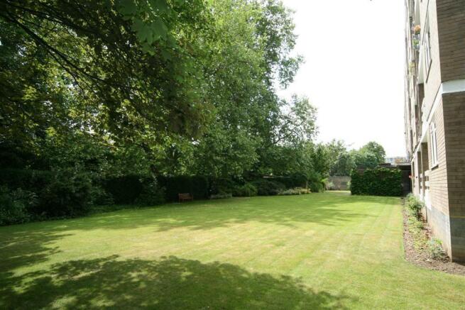 Communal Garden