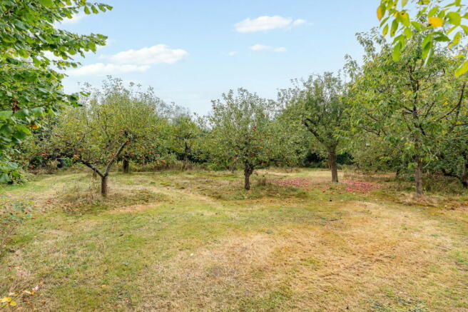 Photo 35