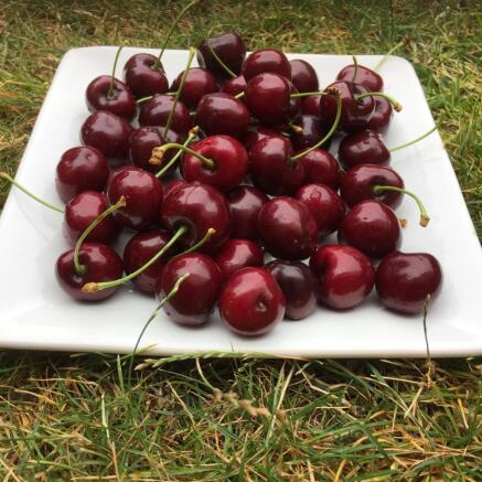 Cherries