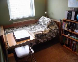 Photo 8