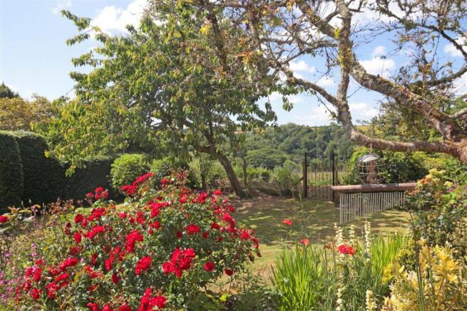 Garden 5.JPG