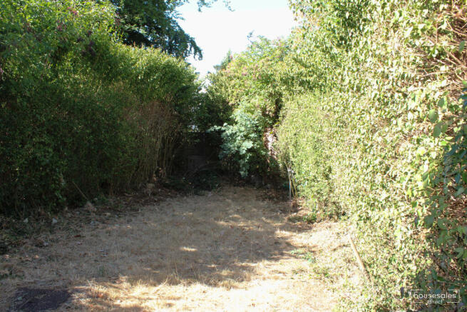 Garden.jpg