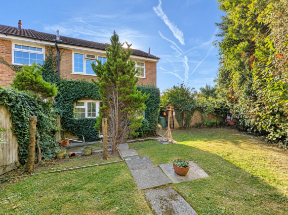 Sunny Ivy-Covered Suburban Garden.png