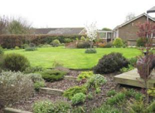garden shot 1