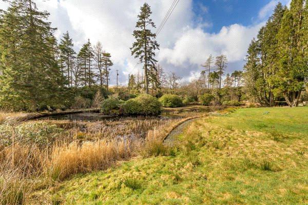Pond and Gardens