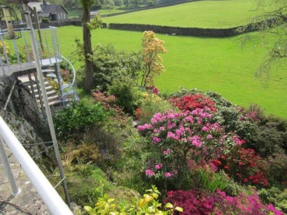 Garden in spring