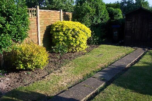 Rear garden