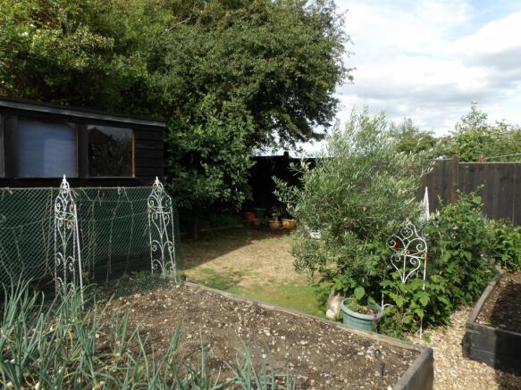 Garden 4
