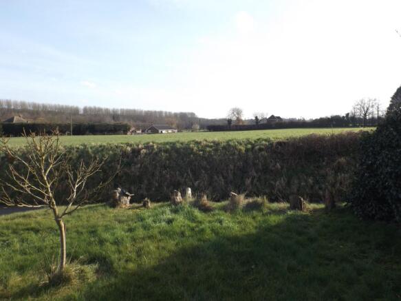 Field Views