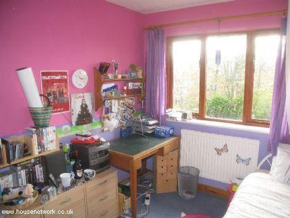 Photo 31