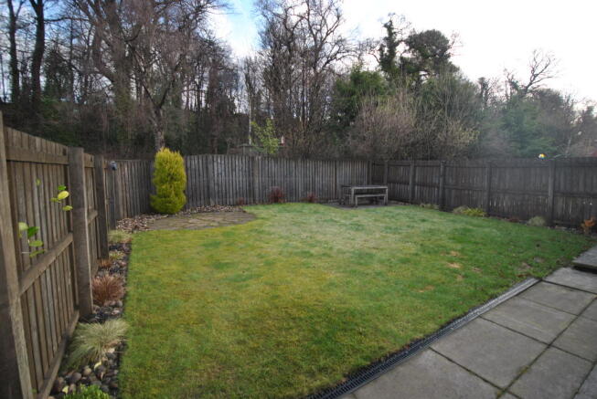Back Garden