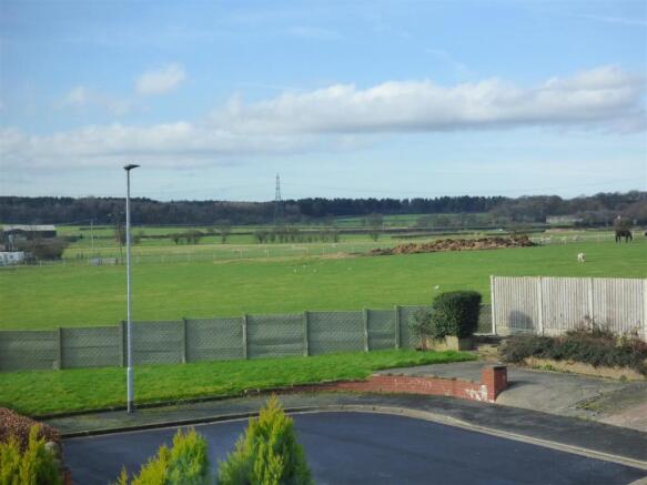 View from Bedroom