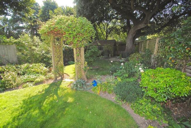 Photo 15