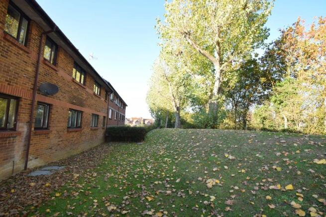 Rear of Property