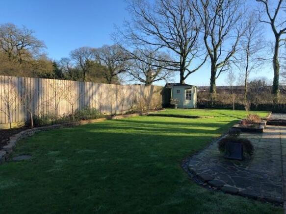 acorn garden.jpg