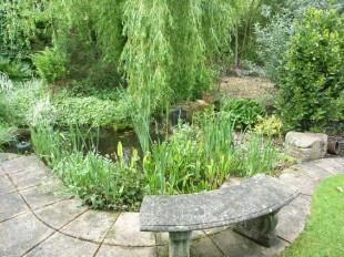 Rear Garden 8