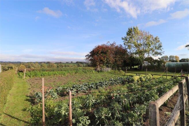 Allotment