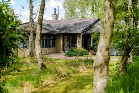 Tranwell Woods, Morpeth, Northumberland NE61