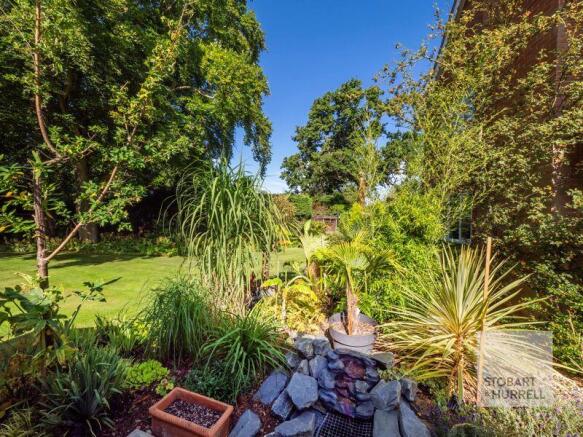 Established Planting