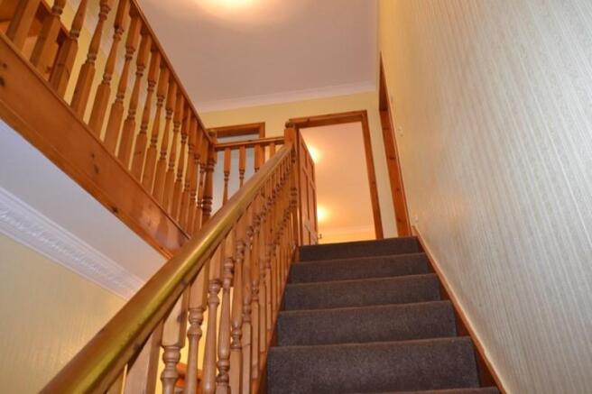 Photo15