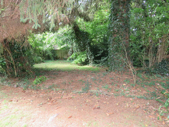 Photo 20