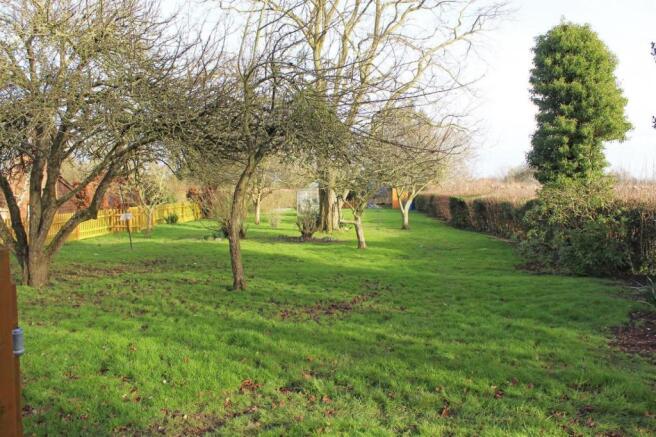 orchard