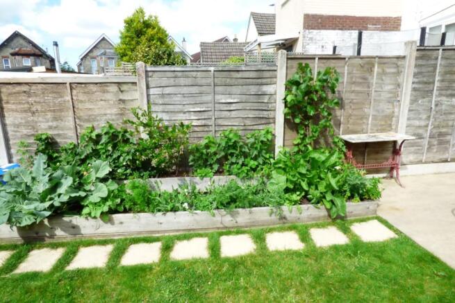 Vegetable Patch