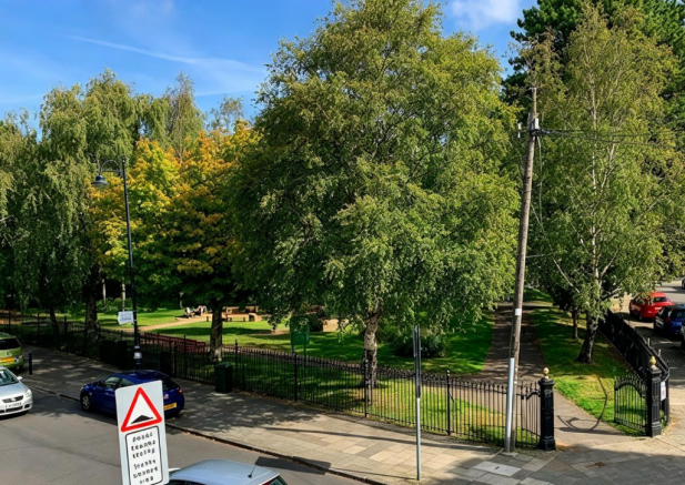 View of Park