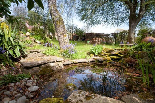 Garden Pond