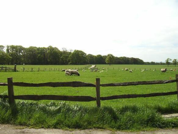 Countryside views