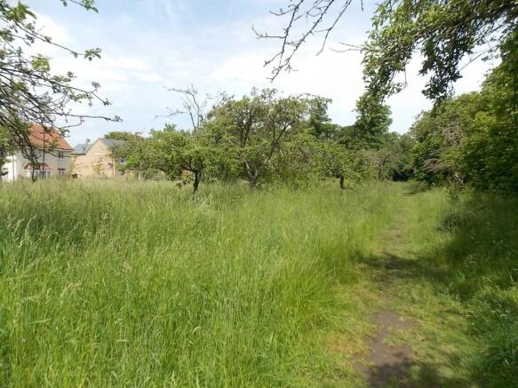 Meadow Walks