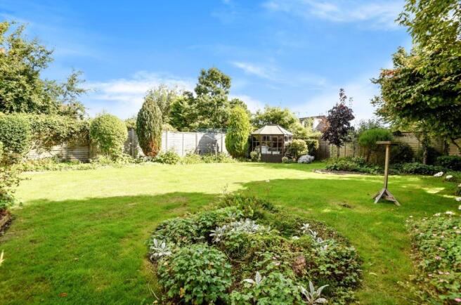 bosvigo