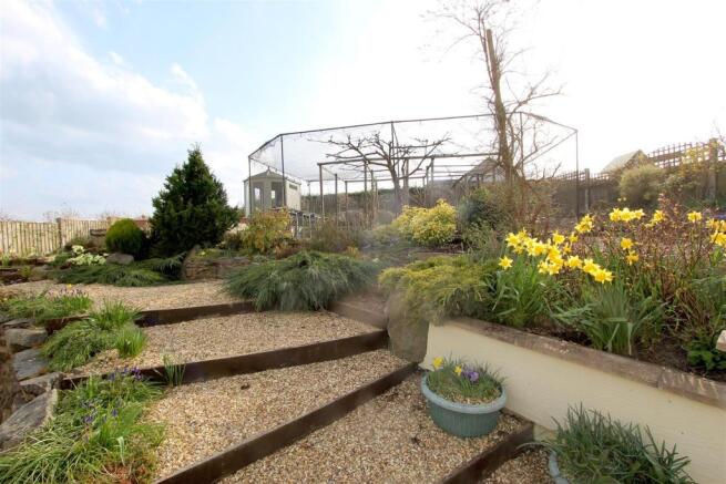 Garden....jpg