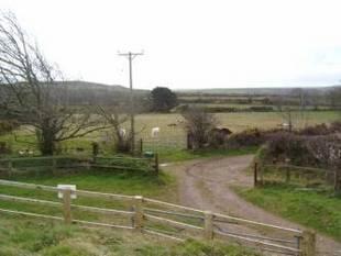View to Far Paddock