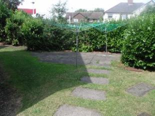 Communal Garden