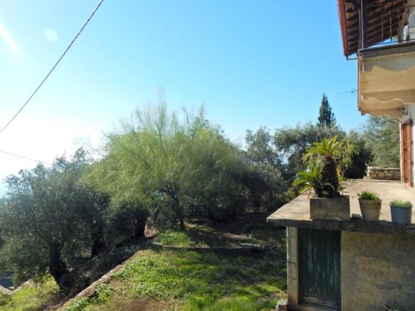 House and garden