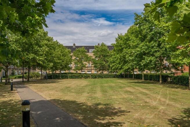 Surrounding Area