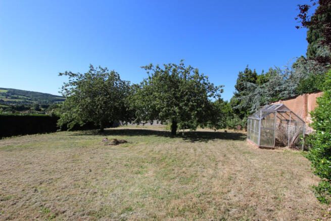 Orchard