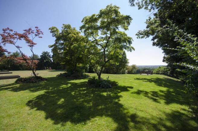 Communal Garden