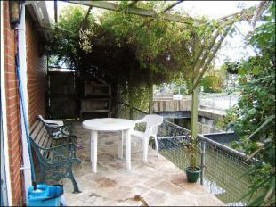 side garden area