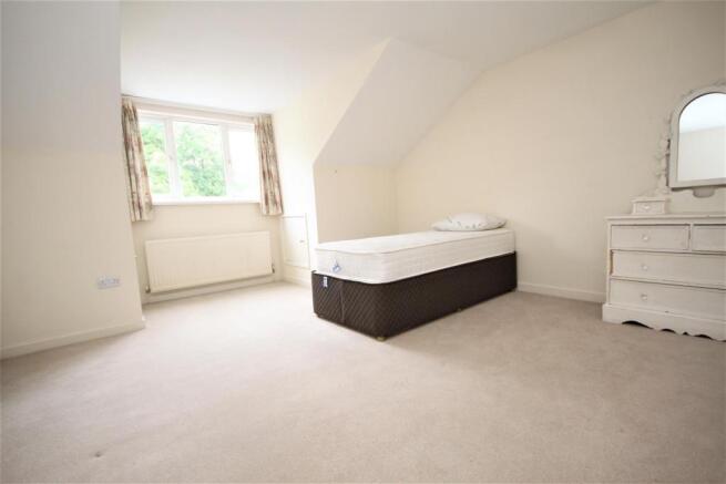 IMG_3726.JPG