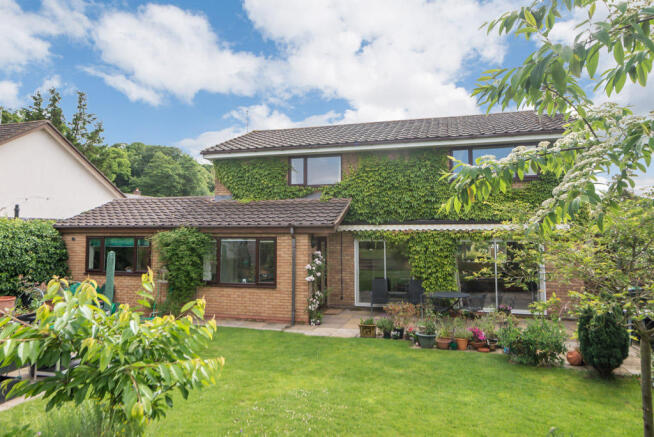 Further Garden Image