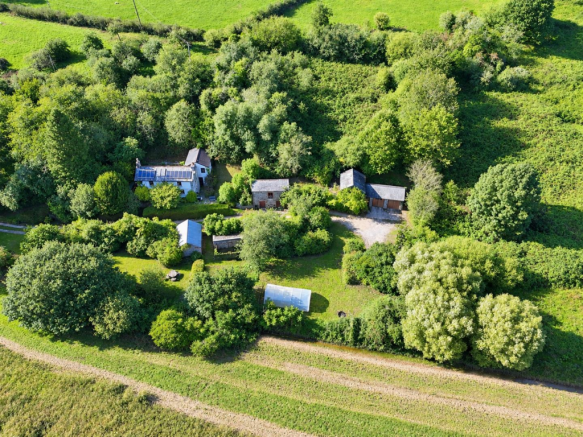 Green Bank