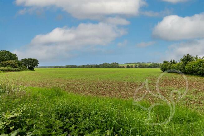 Field Views