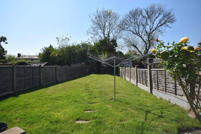 Back garden