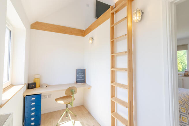 Study Area
