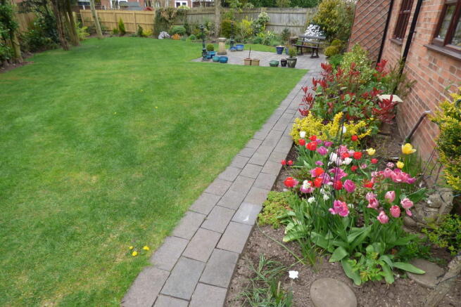 Photo 23